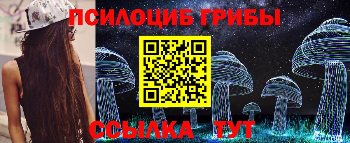 Кизилюрт  Галлюциногенные грибы Psilocybe  Вход с VPN  Галлюциногенные грибы прущие грибы 